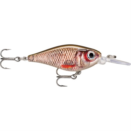 X-Light Shad 04 Live Roach