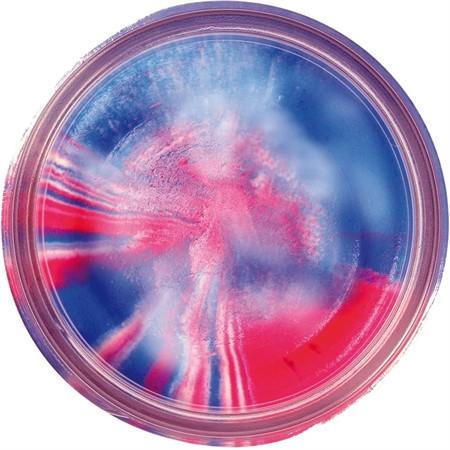 TROUT BAIT CAPTAIN AMERICA GLITTER