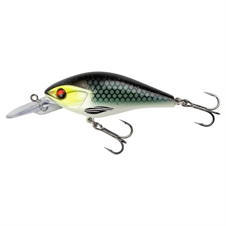 PX TODDLER CRANK 60MR HEAD LIGHT