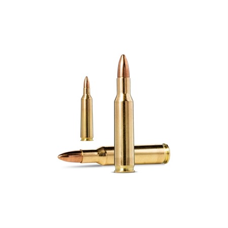 JAKTMATCH 15732 .22-250 Rem 3,2/50