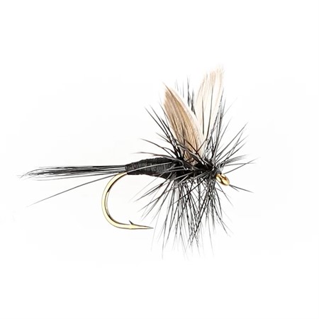 BLACK GNAT DRY #12