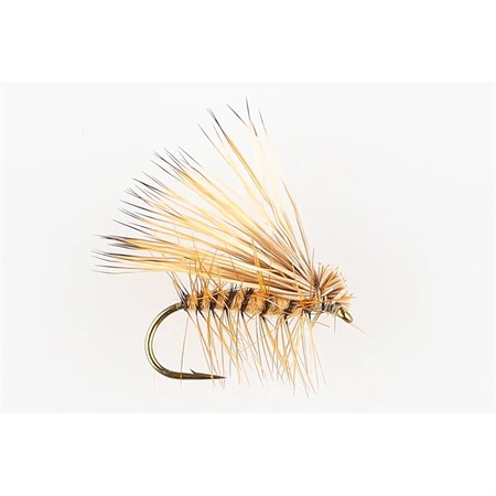 ELK HAIR CADDIS DRY #12