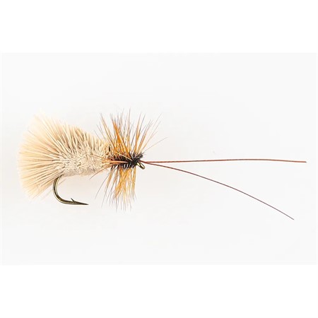 G.H SEDGE DRY #12
