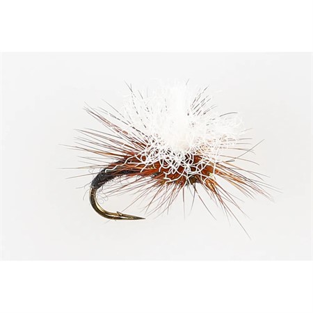 KLINKHAMMER BLACK #12