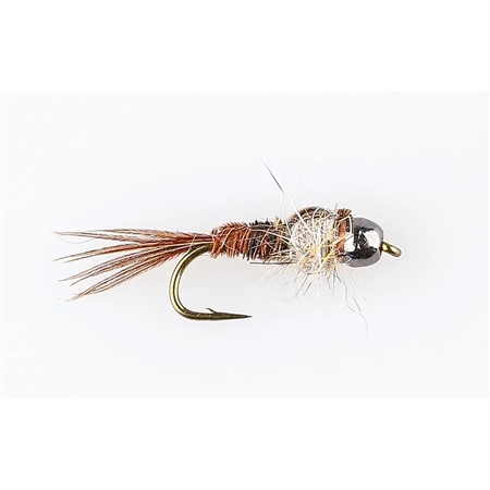 HERLS TUNG NY-HARES PHSNT TAIL  #12