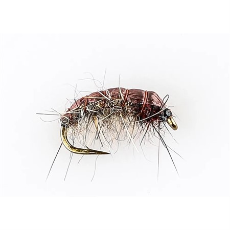 CADDIS NYMPH-BRN BACK-BLK HEAD #12