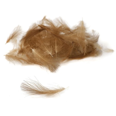 Premium CDC – Brown