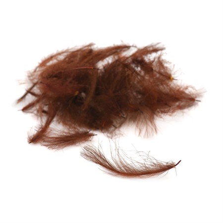 Premium CDC – Chocolate Brown