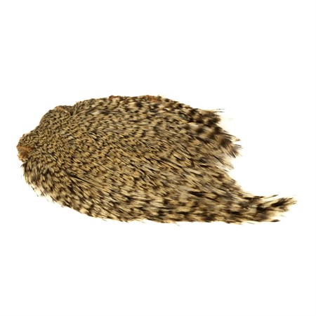 Indisk Tuppnacke Grizzly