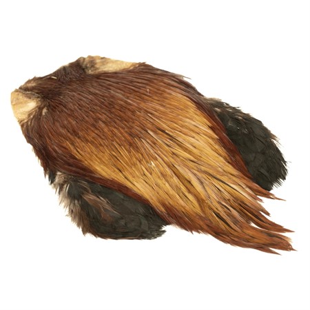 Indisk Tuppnacke Brun