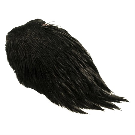 Indisk Tuppnacke Svart