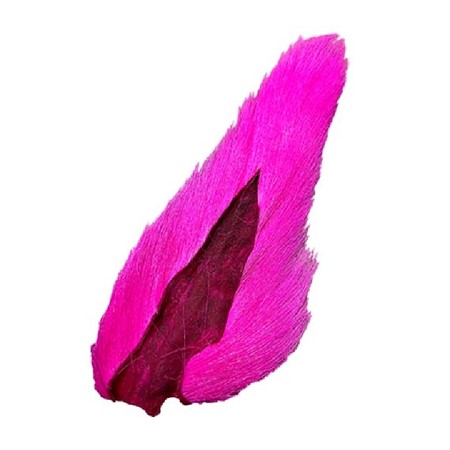 Large Northern Bucktail Fl. Cerise #126