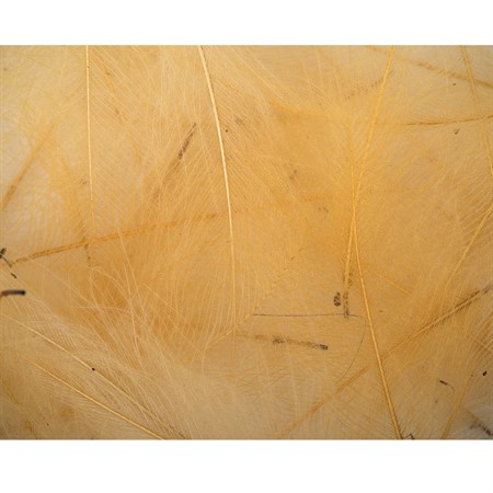 CDC Feathers 1 gr - Cream