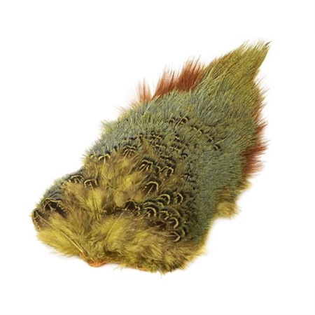 Ringneck Rump Patch Golden Yellow