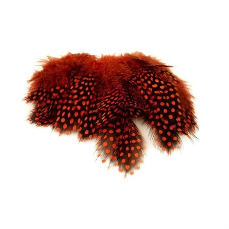 Strung Guinea Feathers Orange