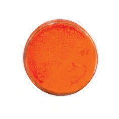 Färgpigment orange fluo 10ml