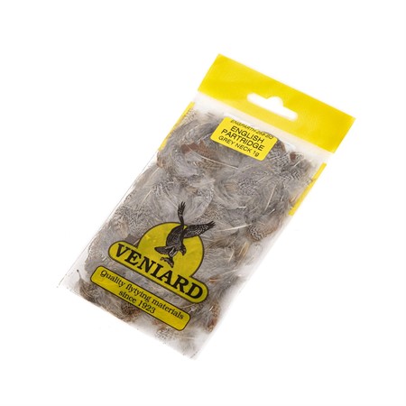 Rapphöna Grå Bröstfjäder